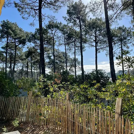 Village de vacances Maison Mobilhome Sans Vis à Vis Au Calme Et En Hauteur Lège-Cap-Ferret