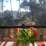 홀리데이파크 Maison Mobilhome Sans Vis A Vis Au Calme Et En Hauteur Lège-Cap-Ferret