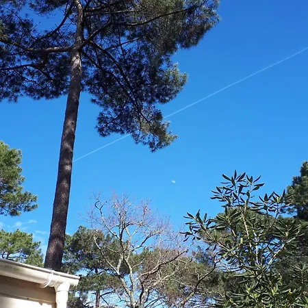 Maison Mobilhome Sans Vis A Vis Au Calme Et En Hauteur Lège-Cap-Ferret