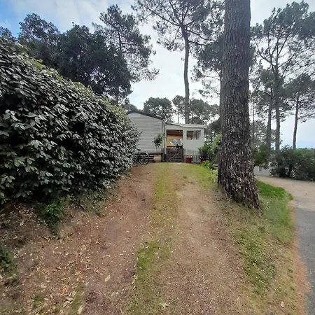 Prázdninový areál Maison Mobilhome Sans Vis A Vis Au Calme Et En Hauteur Lège-Cap-Ferret
