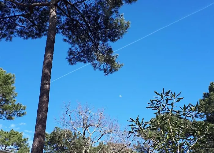 Maison Mobilhome Sans Vis A Vis Au Calme Et En Hauteur Lège-Cap-Ferret