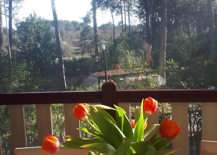 Üdülőpark Maison Mobilhome Sans Vis A Vis Au Calme Et En Hauteur Lège-Cap-Ferret