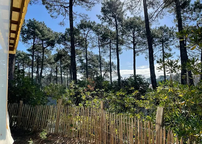 Parco vacanze Maison Mobilhome Sans Vis à Vis Au Calme Et En Hauteur Lège-Cap-Ferret